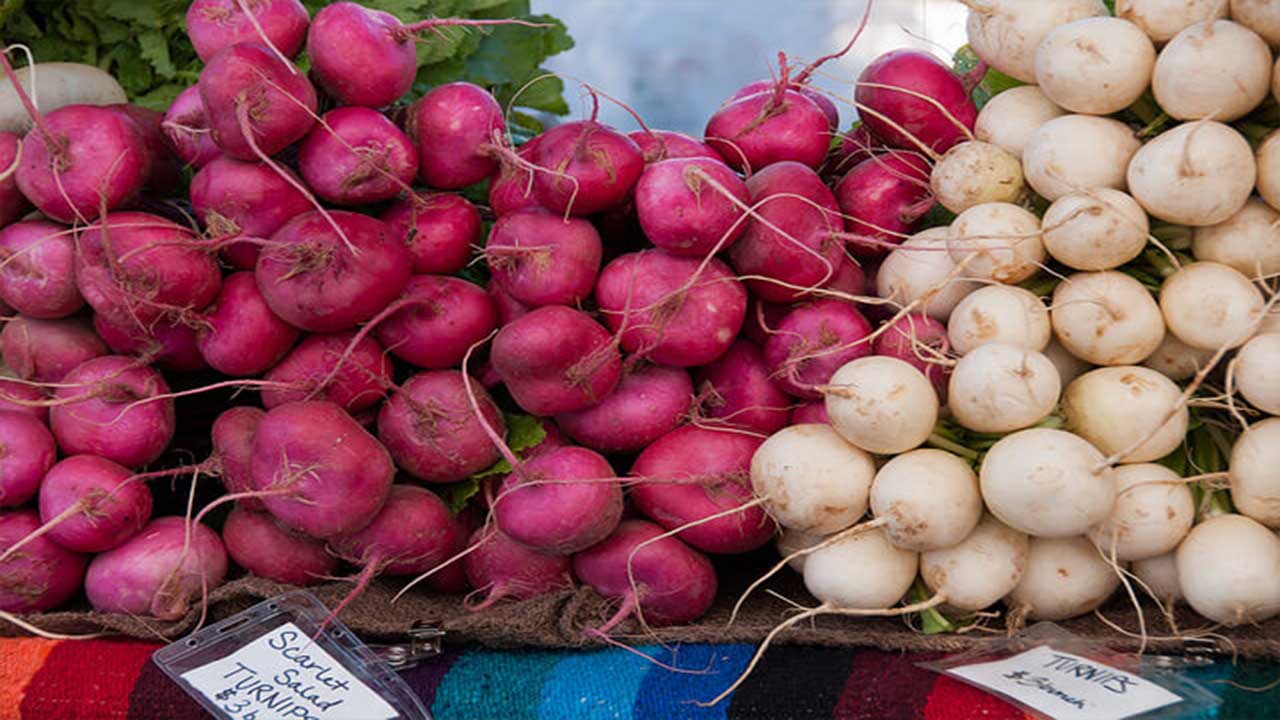 Why Do Turnips Need Companion Plants