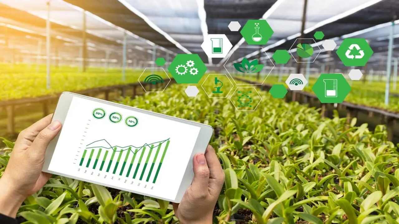 Factors Affecting Energy Consumption In Greenhouses