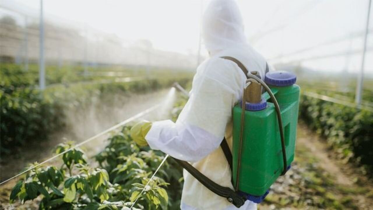 Monitoring And Evaluating Pesticide Effectiveness