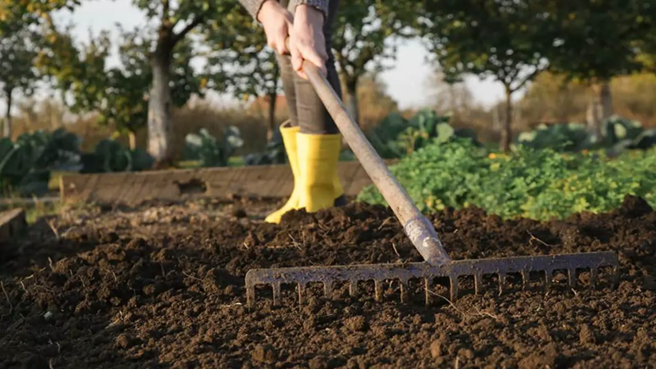 Preparing The Perfect Soil
