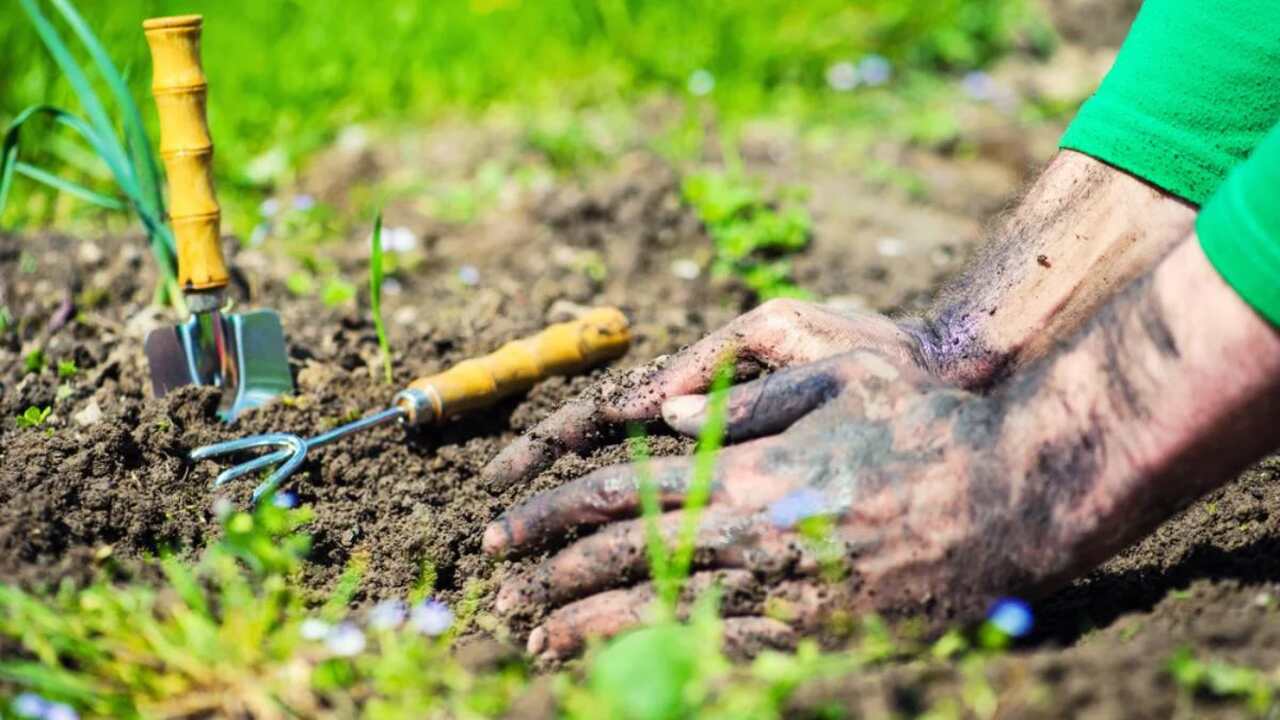 Preparing The Soil
