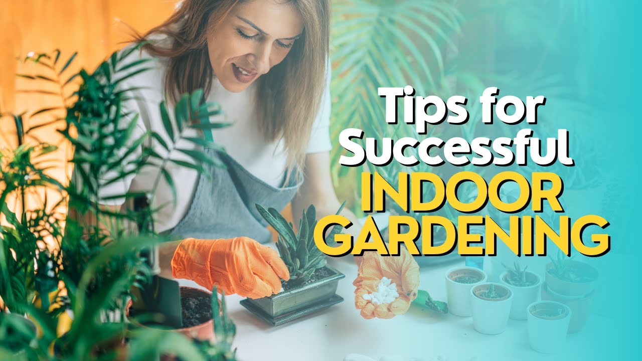 Tips For Successful Indoor Gardening