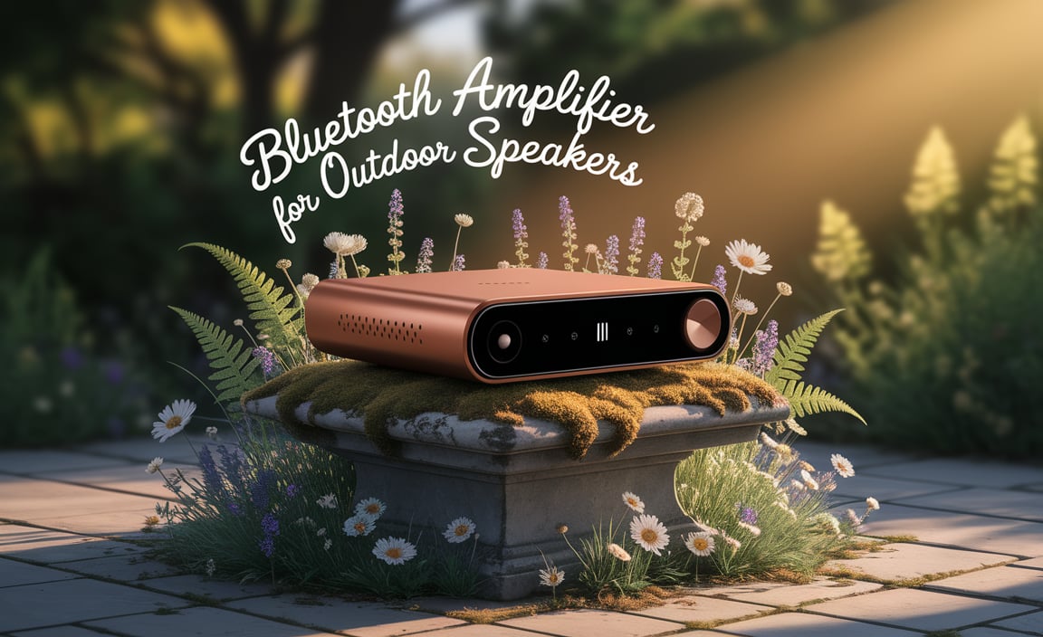 Bluetooth Amplifier For Outdoor Speakers
