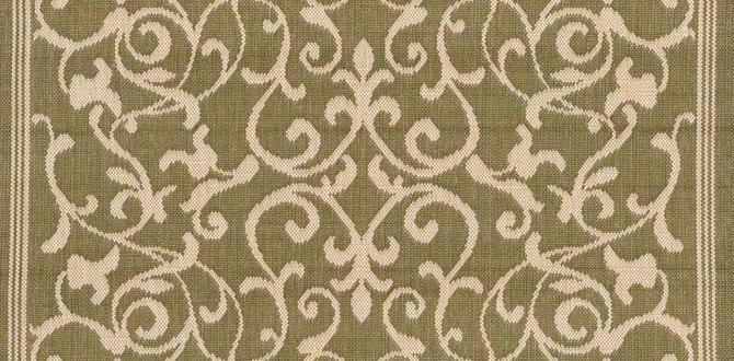 area rugs for outdoors