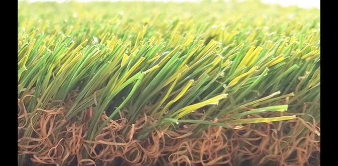 artificial grass for outdoor artificial grass for outdoor