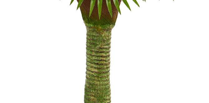 artificial palm tree for outdoors artificial palm tree for outdoors