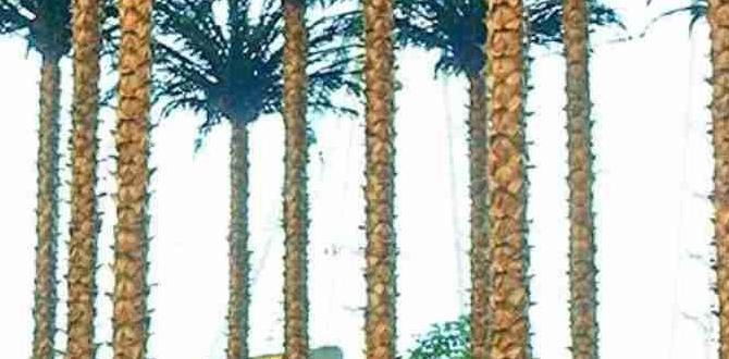 artificial palm trees for outdoors artificial palm trees for outdoors