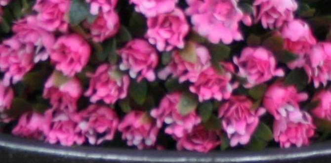 artificial rose bushes for outdoors