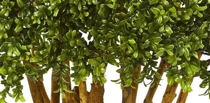 artificial topiary trees for outdoors artificial topiary trees for outdoors