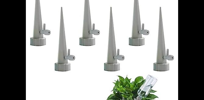 automatic watering system for outdoor plants automatic watering system for outdoor plants