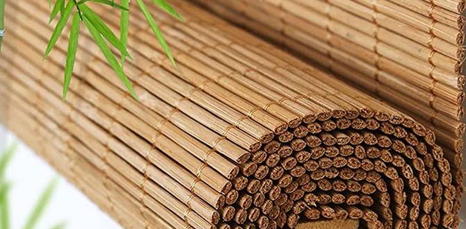 bamboo roller shades for outdoors bamboo roller shades for outdoors