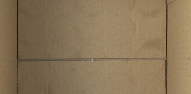 box for outdoor tv box for outdoor tv