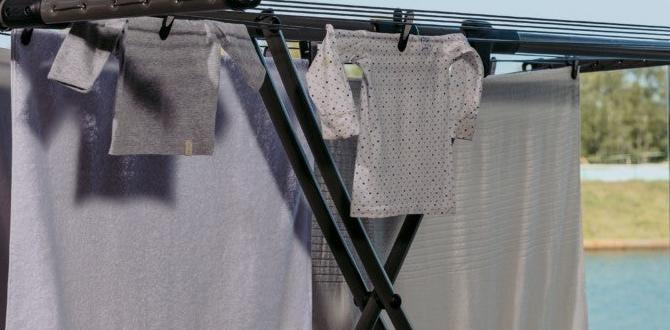 clotheslines for outdoors clotheslines for outdoors