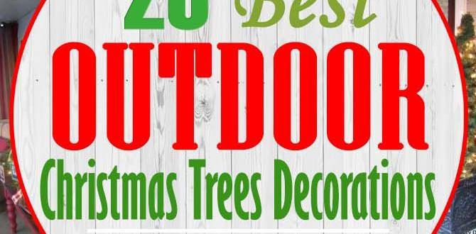 decorating outdoor trees for christmas idea decorating outdoor trees for christmas idea