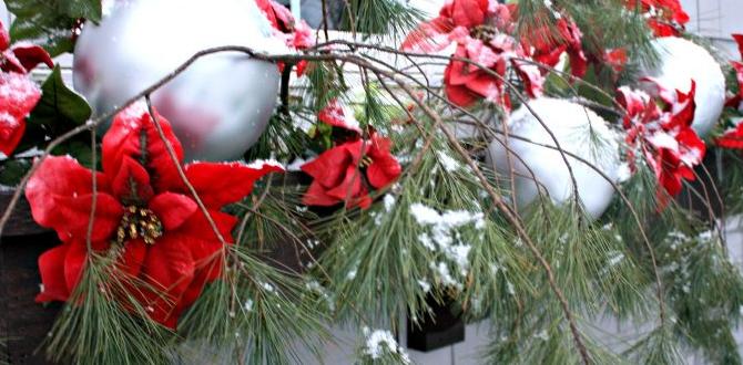 decorating outdoor windows for christmas decorating outdoor windows for christmas