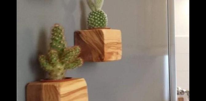 decorative planters for outdoors decorative planters for outdoors