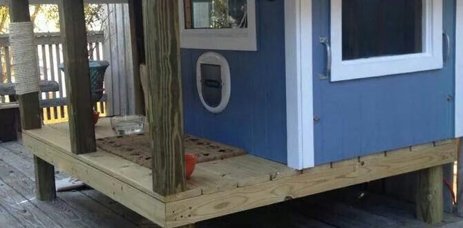 diy outdoor cat shelter for winter diy outdoor cat shelter for winter