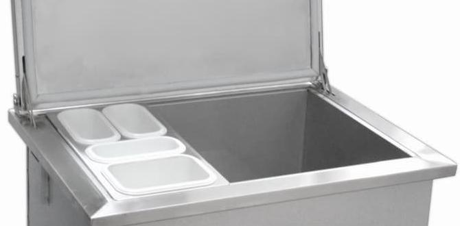 drop in ice chest for outdoor kitchen drop in ice chest for outdoor kitchen