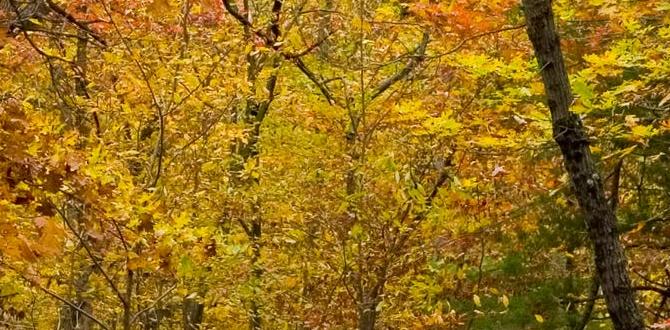 fall decor for outdoors fall decor for outdoors