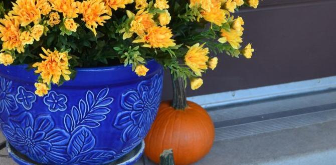 faux mums for outdoors faux mums for outdoors