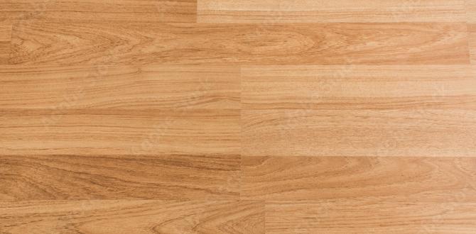 floor fans for outdoors