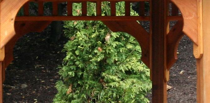 gazebo for outdoor gazebo for outdoor
