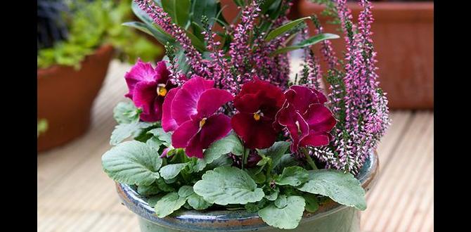 good outdoor plants for winter