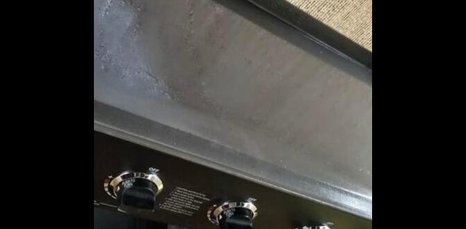 griddles for outdoor grills griddles for outdoor grills