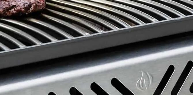 grills for outdoor grills for outdoor