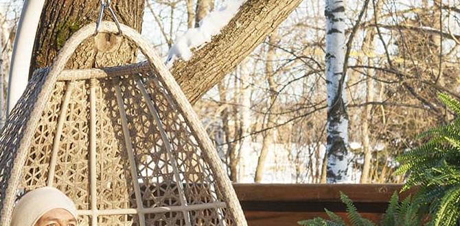 hanging chairs for outdoors hanging chairs for outdoors