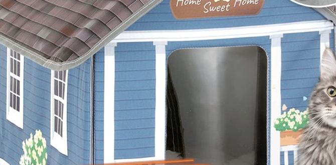 heated outdoor cat houses for winter