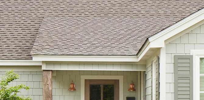 home remedy for flies outdoors home remedy for flies outdoors