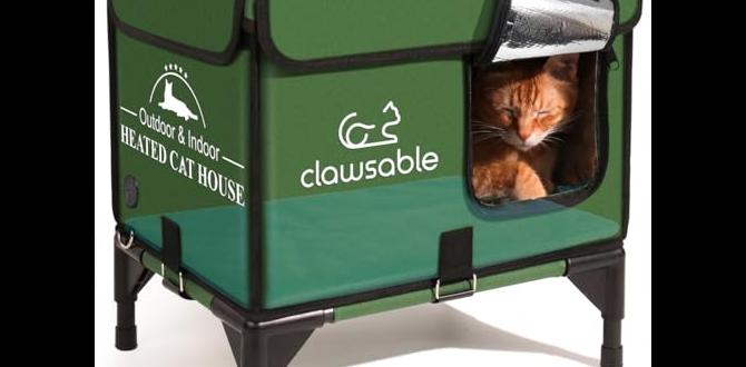 homemade outdoor cat house for winter homemade outdoor cat house for winter