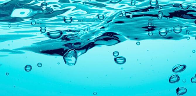 how to water outdoor plants while away for 2 weeks how to water outdoor plants while away for 2 weeks