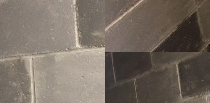 ideas for covering outdoor concrete walls