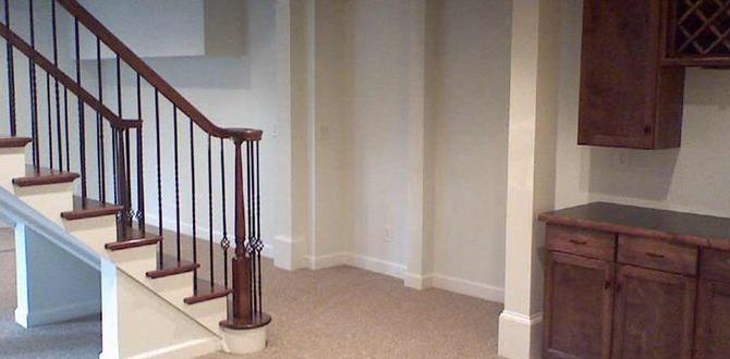 indoor outdoor carpet for basement indoor outdoor carpet for basement
