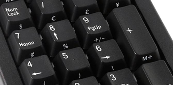 keypad lock for outdoor gate keypad lock for outdoor gate