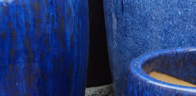 large outdoor ceramic pots for plants large outdoor ceramic pots for plants