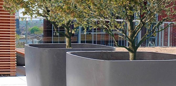 large outdoor pots for trees large outdoor pots for trees