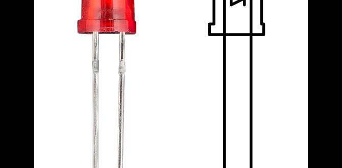 led outdoor lights for house led outdoor lights for house
