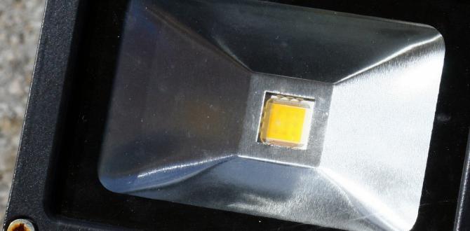 led spotlights for outdoors