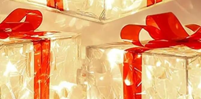 lighted christmas boxes for outdoors lighted christmas boxes for outdoors