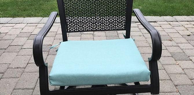 mildew remover for outdoor cushions mildew remover for outdoor cushions