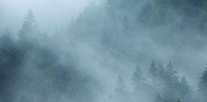 mist fans for outdoors