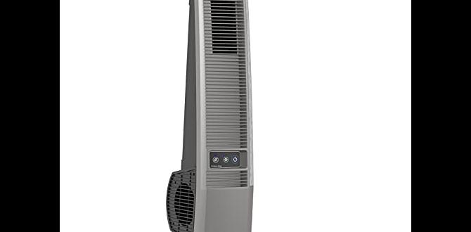 oscillating fan for outdoors oscillating fan for outdoors
