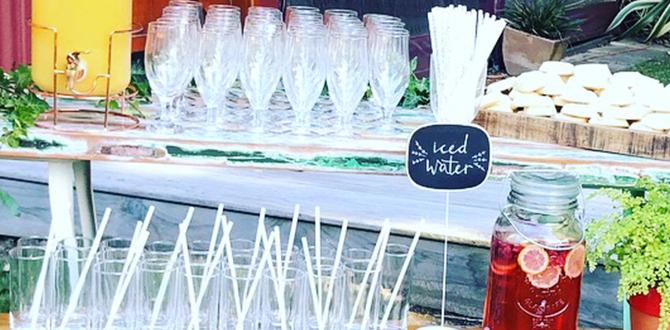 outdoor bar for party outdoor bar for party