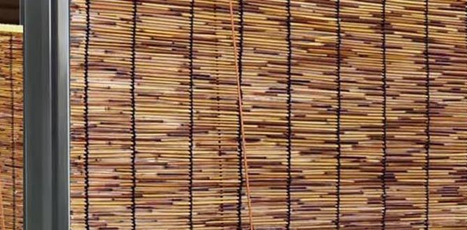 outdoor blinds for pergola outdoor blinds for pergola