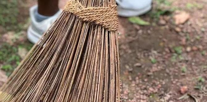 outdoor broom for leaves