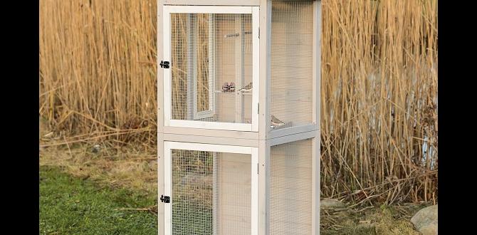 outdoor cage for parrot outdoor cage for parrot