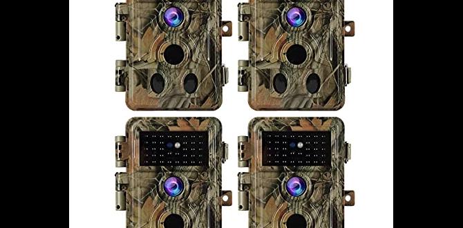 outdoor cameras for wildlife outdoor cameras for wildlife